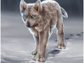 the_lost_one_by_ruhje-d4bk7z5.jpg
